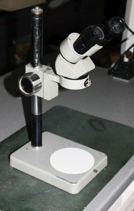 wwwsprzetprotetyczny.pl » MIKROSKOPY